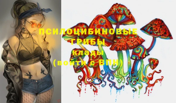 шишки Алзамай