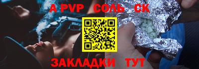 шишки Новодвинск