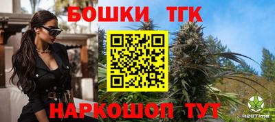шишки Новодвинск