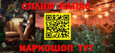 шишки Новодвинск