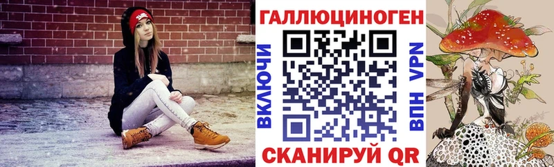 Псилоцибиновые грибы MAGIC MUSHROOMS  как найти   Томск 