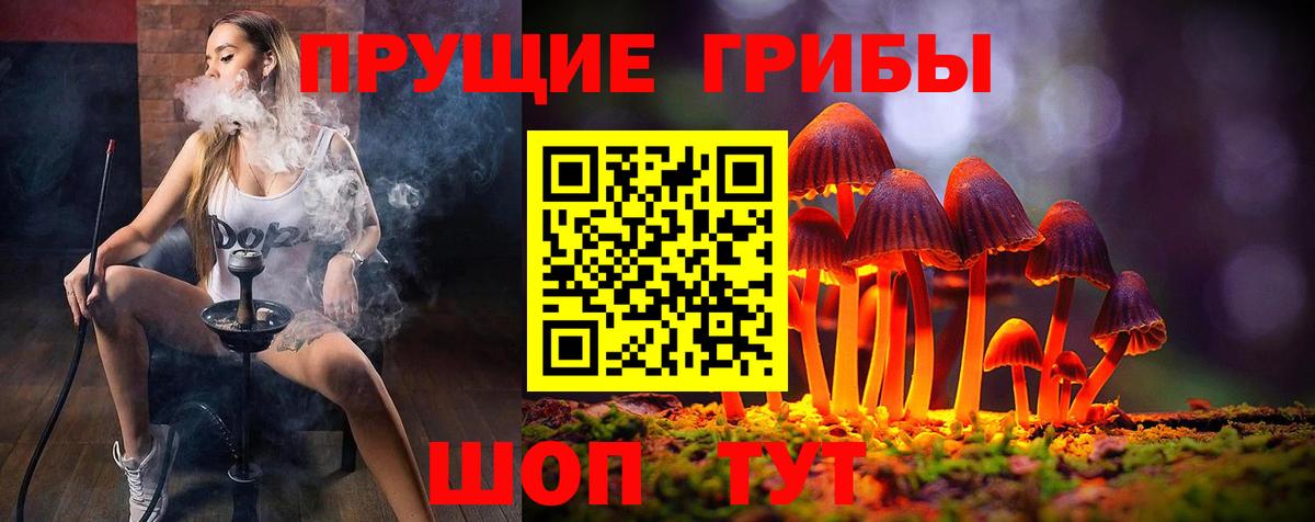 Галлюциногенные грибы Magic Shrooms  Вход с VPN  Томск 